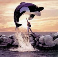 Hydraulicspneumatics Com Sites Hydraulicspneumatics com Files Uploads Custom Inline Archive Www hydraulicspneumatics com Content Site200 Articles 07 01 1994 85213 Willyleaps 00000057554