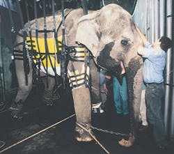 Hydraulicspneumatics Com Sites Hydraulicspneumatics com Files Uploads 2013 12 16020767 00 Hydraulicspneumatics Com Sites Hydraulicspneumatics com Files Uploads 2013 12 16020767 00