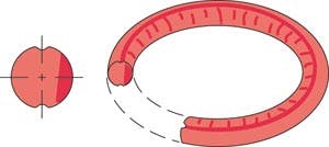 How to Recognize and Avoid the Common Causes of O-ring Failure | Power ...