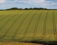 Hydraulicspneumatics Com Sites Hydraulicspneumatics com Files Uploads Custom Inline Archive Www hydraulicspneumatics com Content Site200 Articles 07 01 2007 70092 Robots0300 00000045789 Hydraulicspneumatics Com Sites Hydraulicspneumatics com Files Uploads Custom Inline Archive Www hydraulicspneumatics com Content Site200 Articles 07 01 2007 70092 Robots0300 00000045789