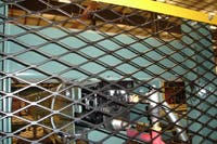 Hydraulicspneumatics Com Sites Hydraulicspneumatics com Files Uploads Custom Inline Archive Www hydraulicspneumatics com Content Site200 Articles 04 01 2009 84079 Tolomatic F 00000056307 Hydraulicspneumatics Com Sites Hydraulicspneumatics com Files Uploads Custom Inline Archive Www hydraulicspneumatics com Content Site200 Articles 04 01 2009 84079 Tolomatic F 00000056307