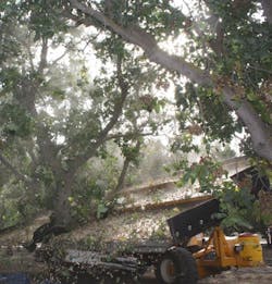 Hydraulicspneumatics Com Sites Hydraulicspneumatics com Files Uploads 2013 08 Raining Pistachios Hydraulicspneumatics Com Sites Hydraulicspneumatics com Files Uploads 2013 08 Raining Pistachios