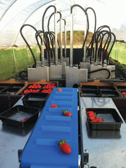 Hydraulicspneumatics Com Sites Hydraulicspneumatics com Files Uploads 2014 02 No Tangles Strawberry 2 Hydraulicspneumatics Com Sites Hydraulicspneumatics com Files Uploads 2014 02 No Tangles Strawberry 2