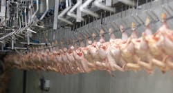 Hydraulicspneumatics Com Sites Hydraulicspneumatics com Files Uploads 2015 Chicken Processing R Hydraulicspneumatics Com Sites Hydraulicspneumatics com Files Uploads 2015 Chicken Processing R