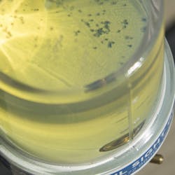 Hydraulicspneumatics Com Sites Hydraulicspneumatics com Files Uploads 2016 10 11 Des Case Osg Bottom Hydraulicspneumatics Com Sites Hydraulicspneumatics com Files Uploads 2016 10 11 Des Case Osg Bottom