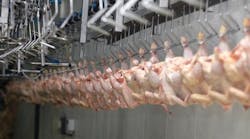 Hydraulicspneumatics 2032 Chicken Processing R