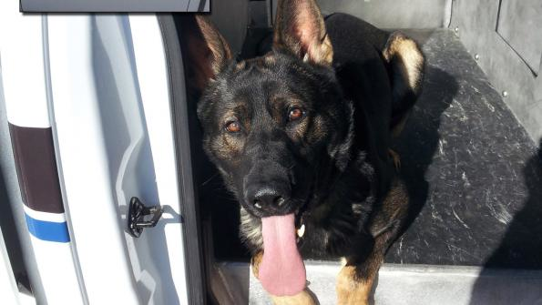 A reservoir for police dogs, not hydraulic fluid Power & Motion