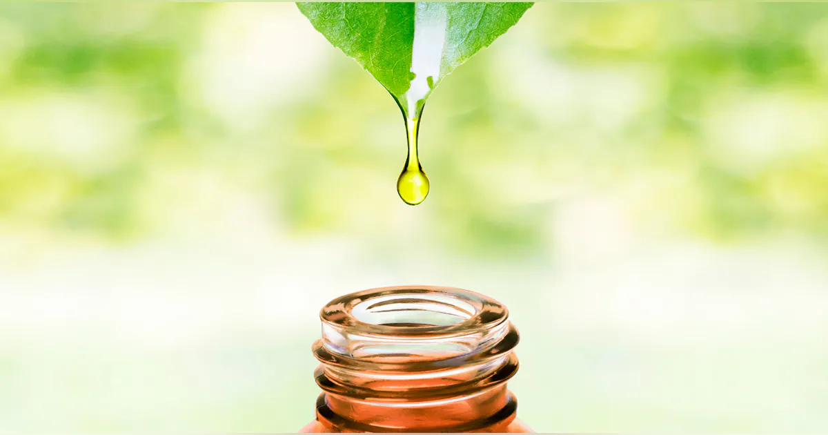 Testing Validates Environmentally Friendly Hydraulic Fluids | Power ...