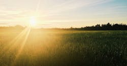 Sun shining Sun shining