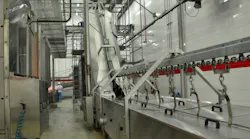 Hog conveyor