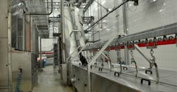 Hog conveyor Hog conveyor