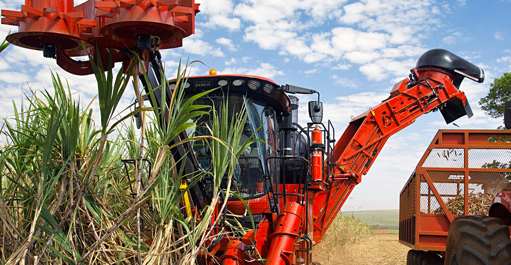 Sugarcane harvester