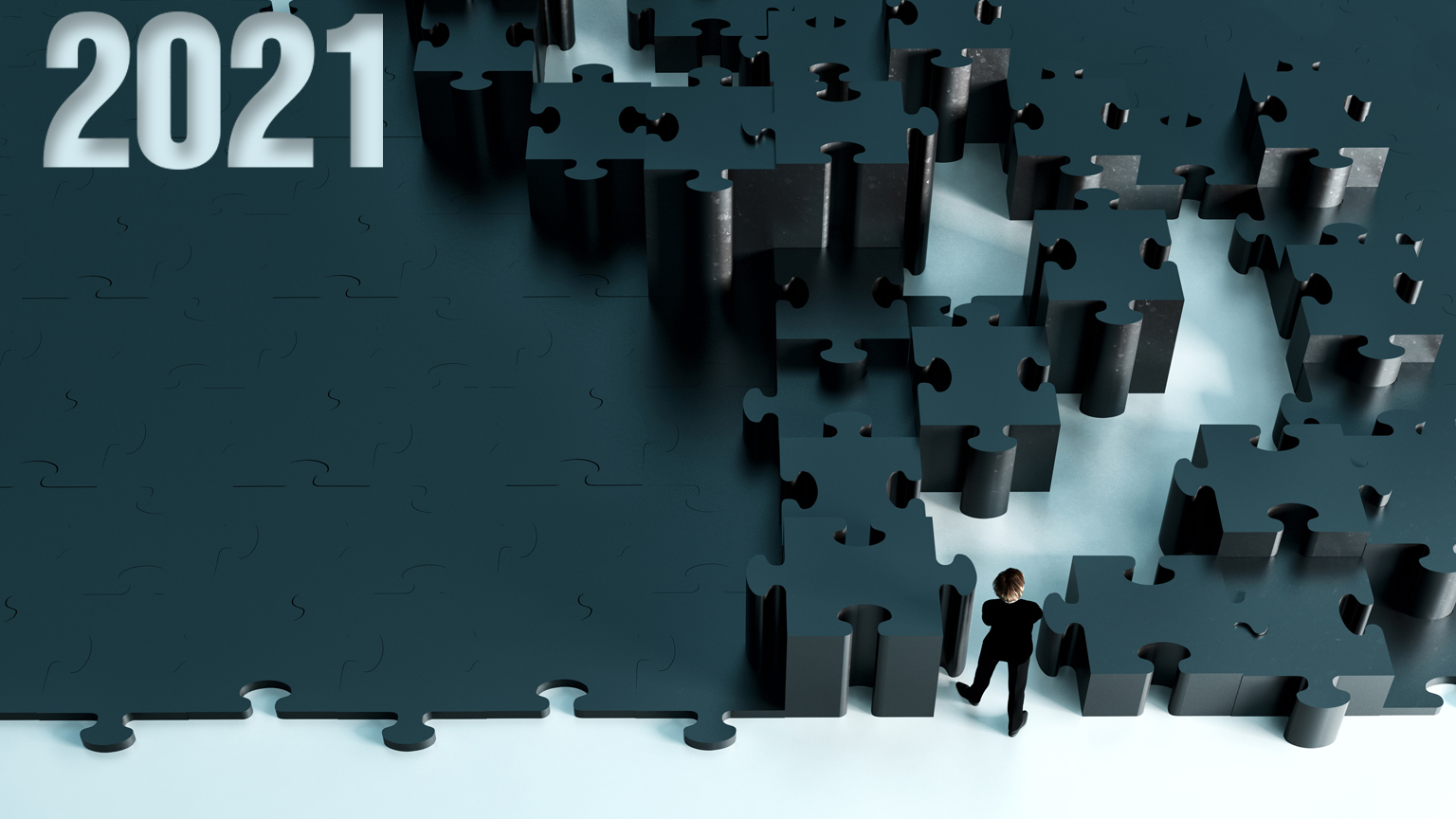 Navigating the 2021 puzzle