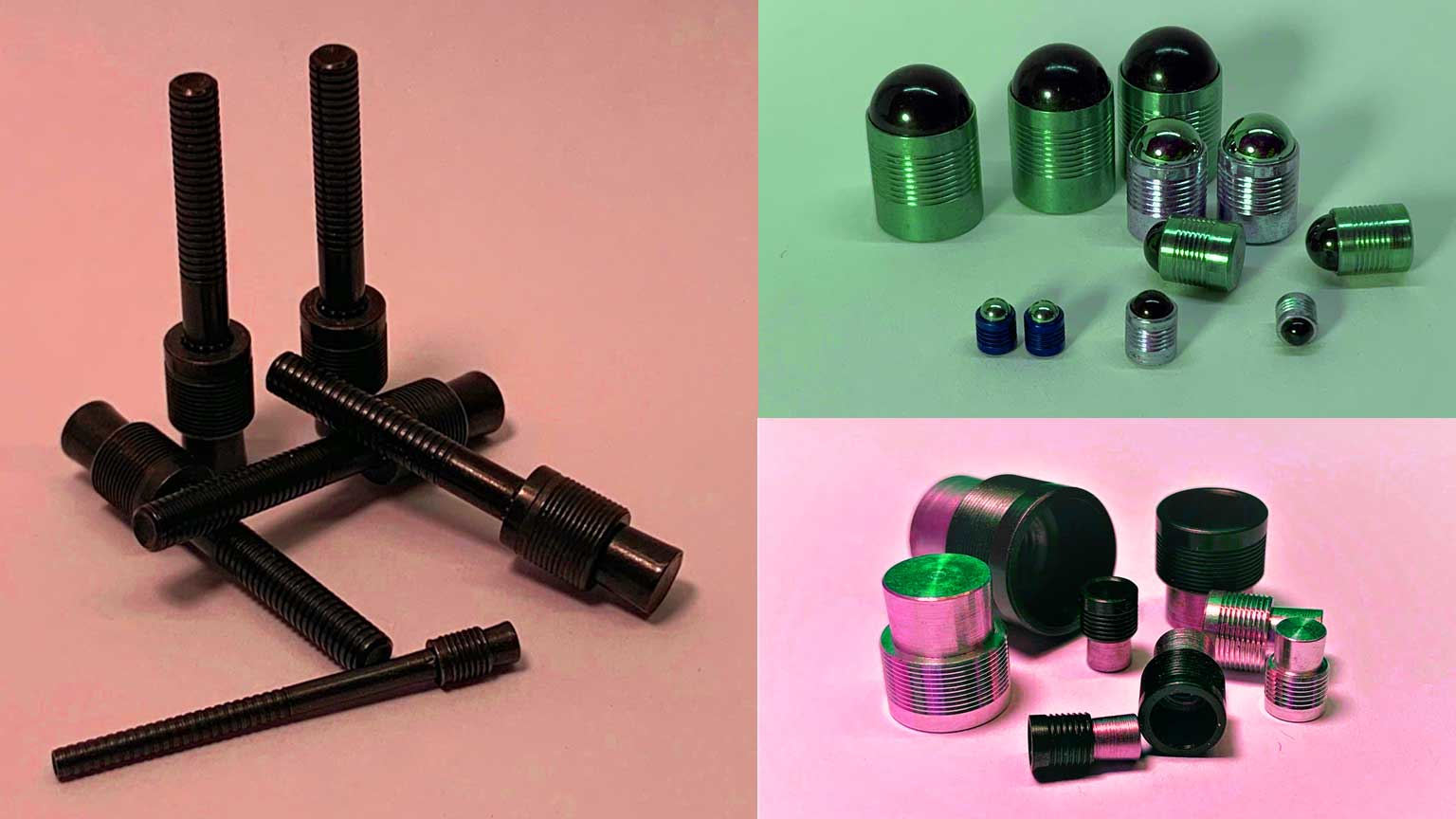 Collage of seals images