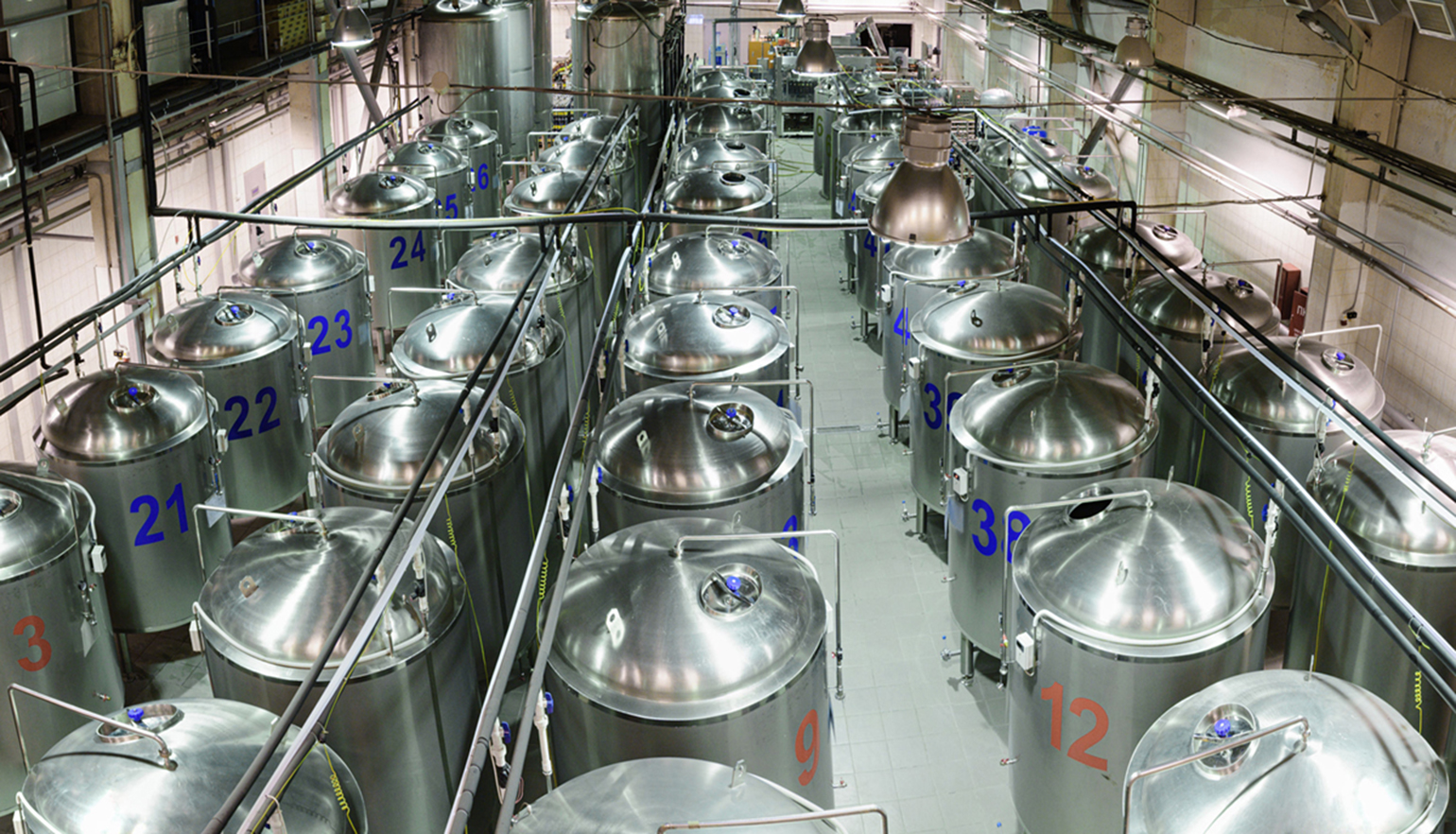 The alcohol production fermentation process has unique level-sensing needs.