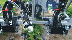 An articulated arm robot from igus called robolink has been deployed to aid harvesting of cucumbers.