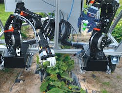 An articulated arm robot from igus called robolink has been deployed to aid harvesting of cucumbers. An articulated arm robot from igus called robolink has been deployed to aid harvesting of cucumbers.