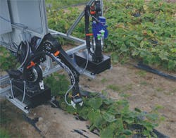 Equipping igus' robolink articulated arm robot with a special camera system enables it to easily detect and locate cucumbers for harvesting. Equipping igus' robolink articulated arm robot with a special camera system enables it to easily detect and locate cucumbers for harvesting.