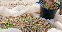 Trz Treeshaker Banner 1 62bb6c070e80d Trz Treeshaker Banner 1 62bb6c070e80d