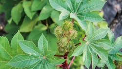 SMC is one of several fluid power manufacturers researching and where applicable utilizing renewable materials such as those from plants to minimize their environmental impact. SMC is one of several fluid power manufacturers researching and where applicable utilizing renewable materials such as those from plants to minimize their environmental impact.