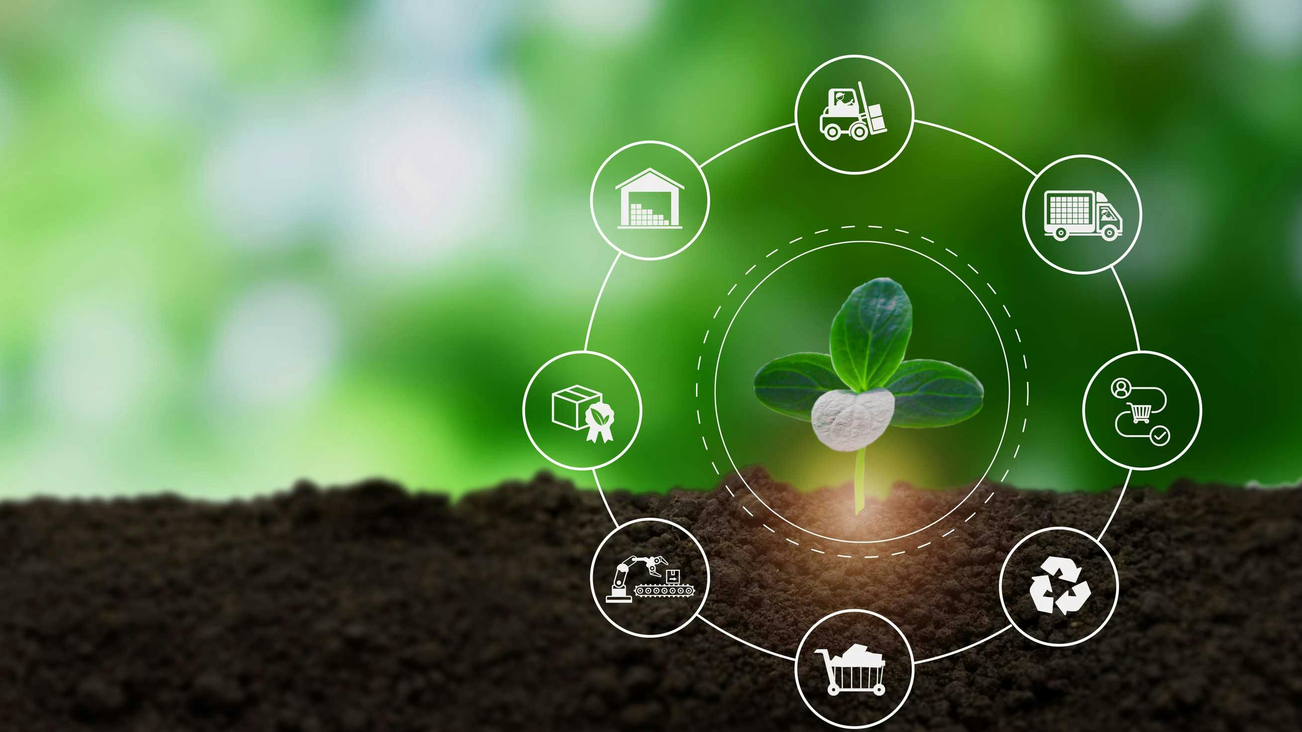 An illustration of a circular supply chain in which goods are used as long as possible