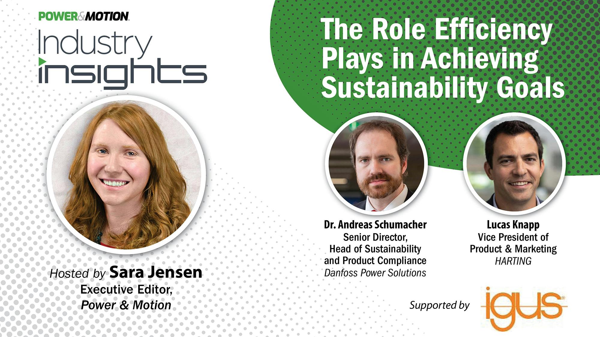 The Role of Efficiency in Achieving Sustainability