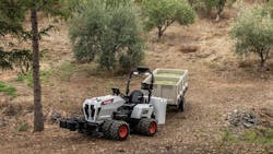 The Bobcat AT450X autonomous and electric articulating tractor working in an olive field The Bobcat AT450X autonomous and electric articulating tractor working in an olive field