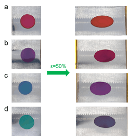 Color changes of the strain sensor upon stretching it by 50% Color changes of the strain sensor upon stretching it by 50%
