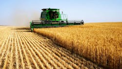 A combine harvesting a wheat field A combine harvesting a wheat field