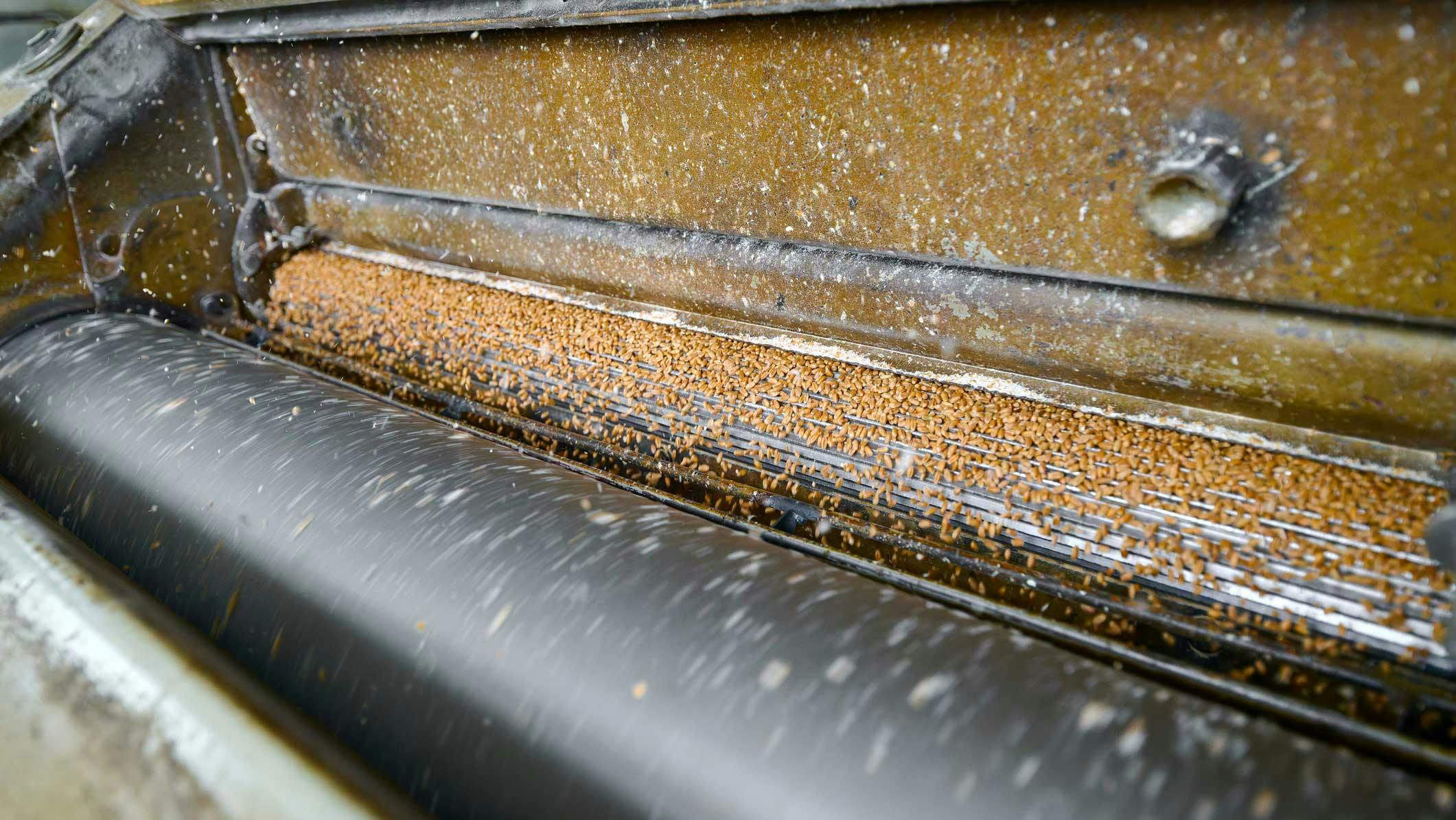 Flour being milled in a flour milling machine