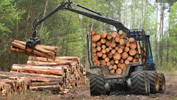 Forest harvester picking up several logs Forest harvester picking up several logs