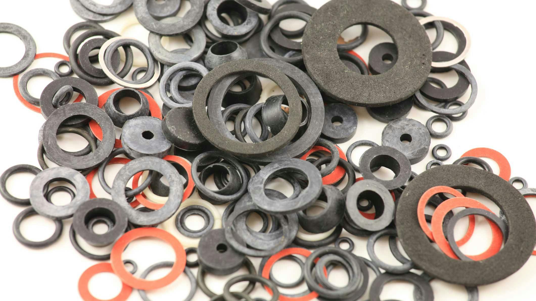 Several O-Rings and Other Seals