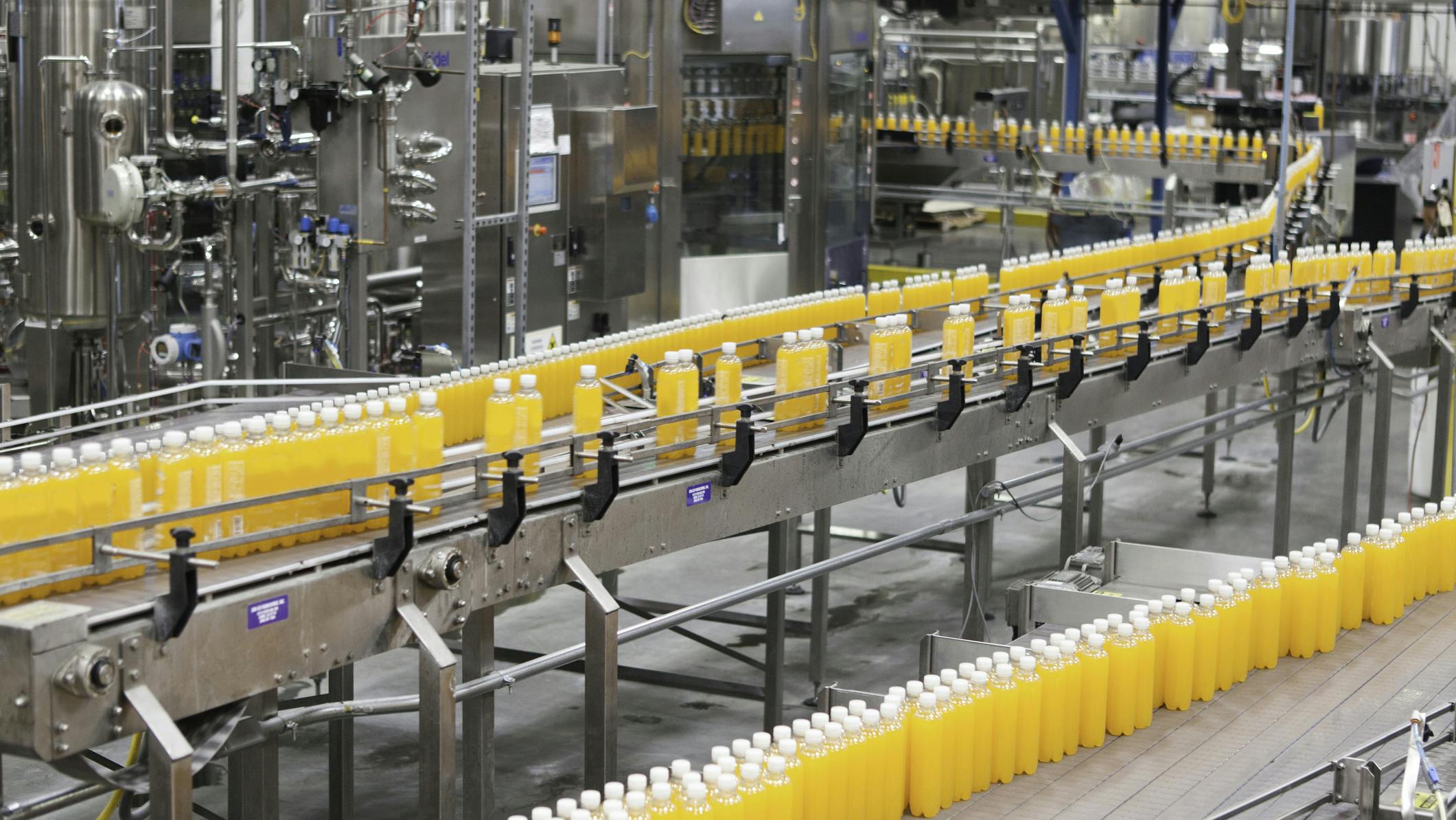 Filled bottles moving down an automated production line